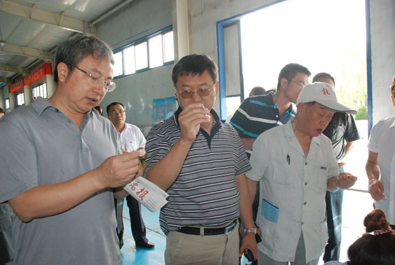 888腾博会-诚信为本,专业服务