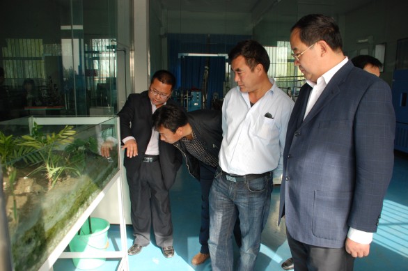 888腾博会-诚信为本,专业服务