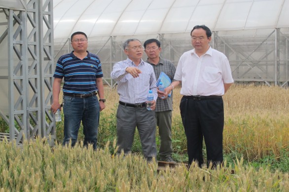 888腾博会-诚信为本,专业服务