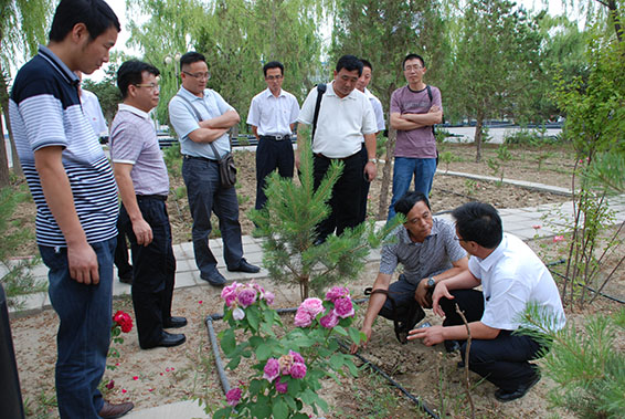 888腾博会-诚信为本,专业服务