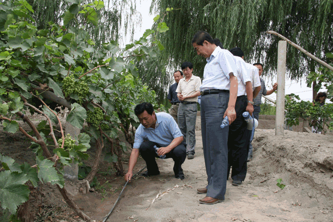 888腾博会-诚信为本,专业服务