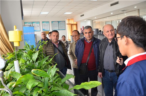 20161031094728526004