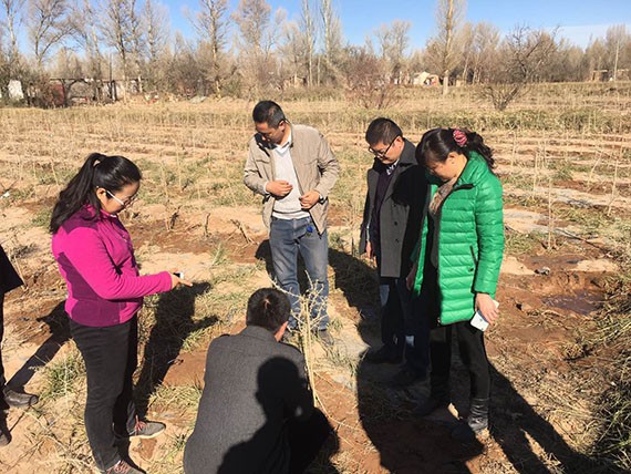 20161118103950978005