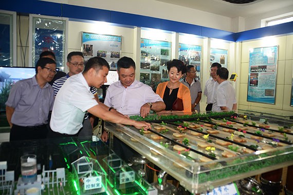 20170616102036934002