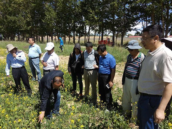 20170802125848206003