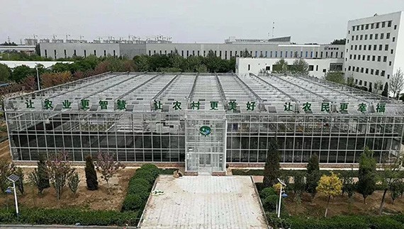 20180511205459102005