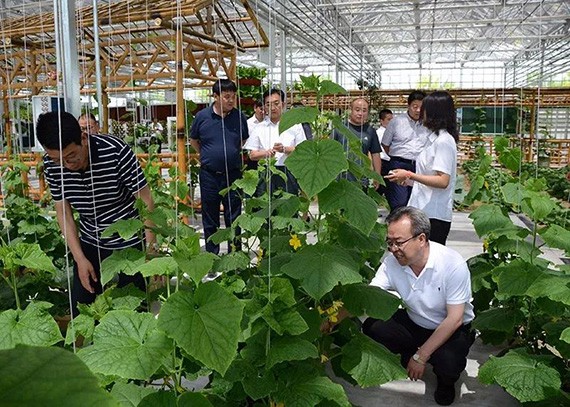 20180529100222599004