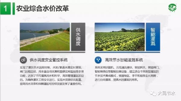 20190617090243268001_s