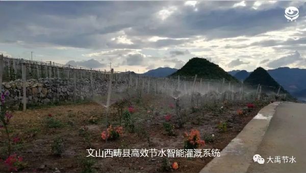 20190617090247490013_s