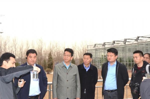 20210320093846767007_s