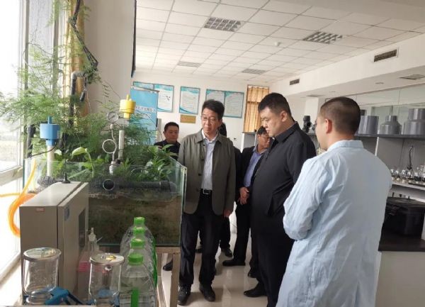 20210322130940326008_s