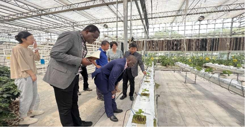 20231212150320887004