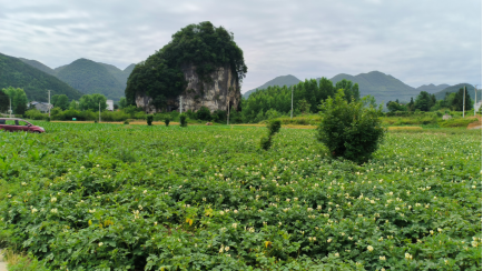 20240724104229784001