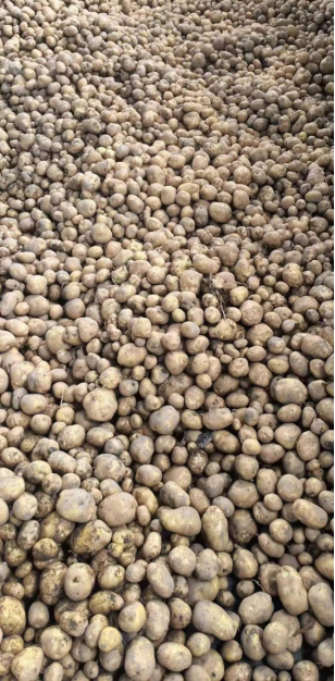 20240724104231742004