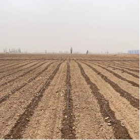 20240807093921748004