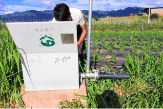 20241008105552866006