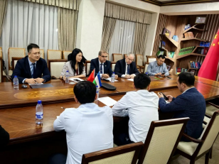 20241008110951688003