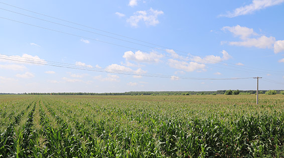 888腾博会-诚信为本,专业服务