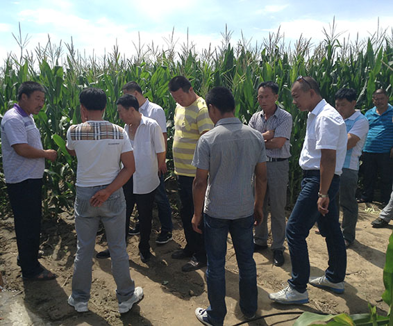 888腾博会-诚信为本,专业服务