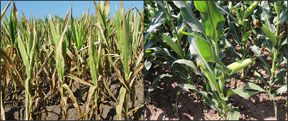 888腾博会-诚信为本,专业服务