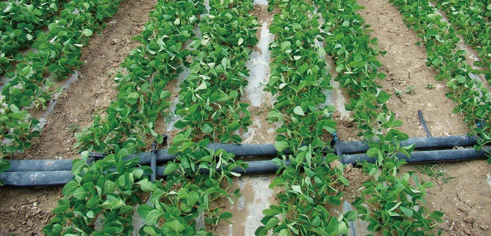 202306251687679705814876