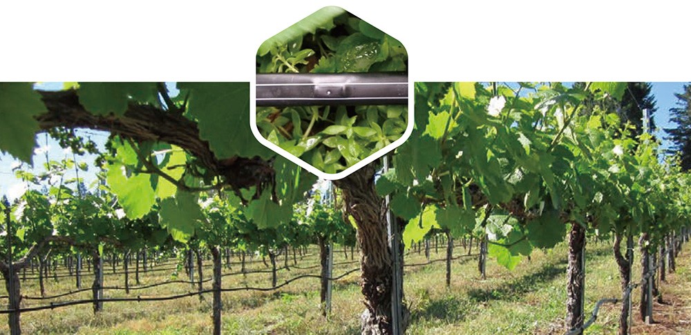 202306251687682434924193