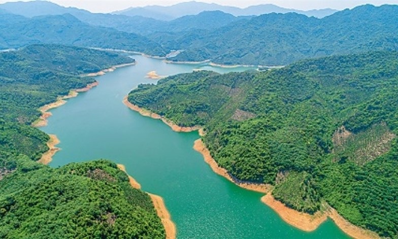 20241118155553_993273