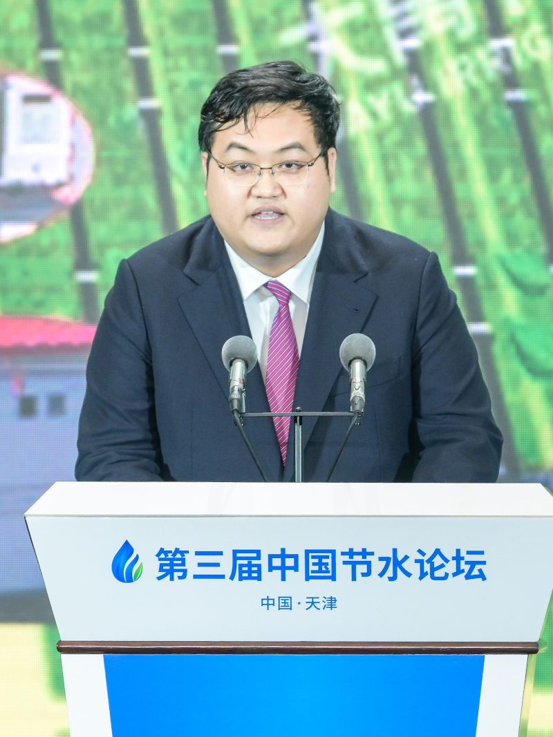 202411181731924576320575