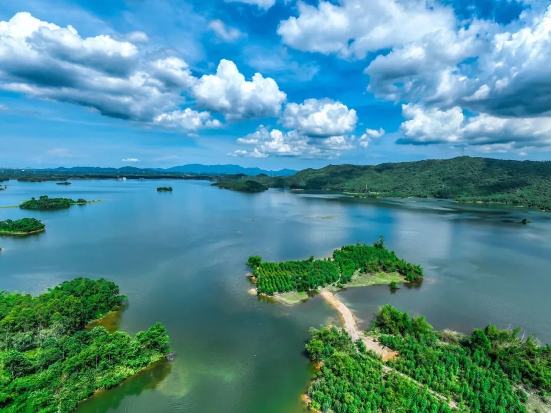 202412041733297691562724