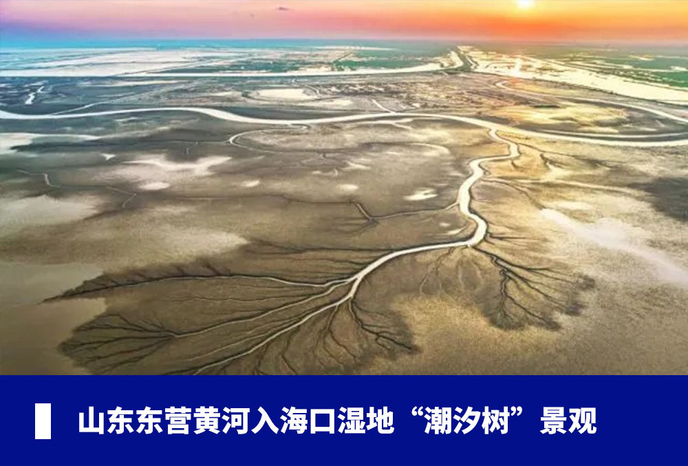 202412041733300251615455