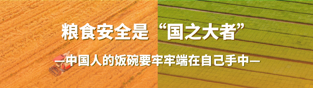 202412041733300934423672