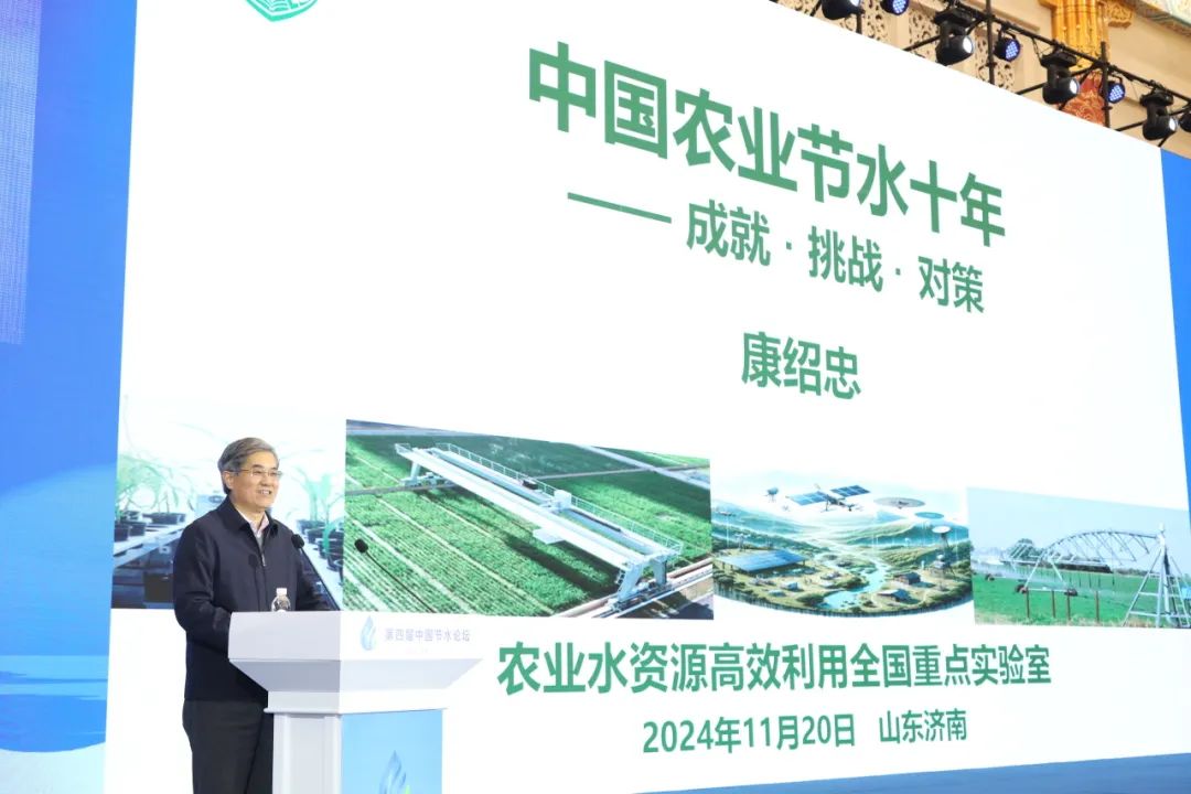 202412051733388837835435