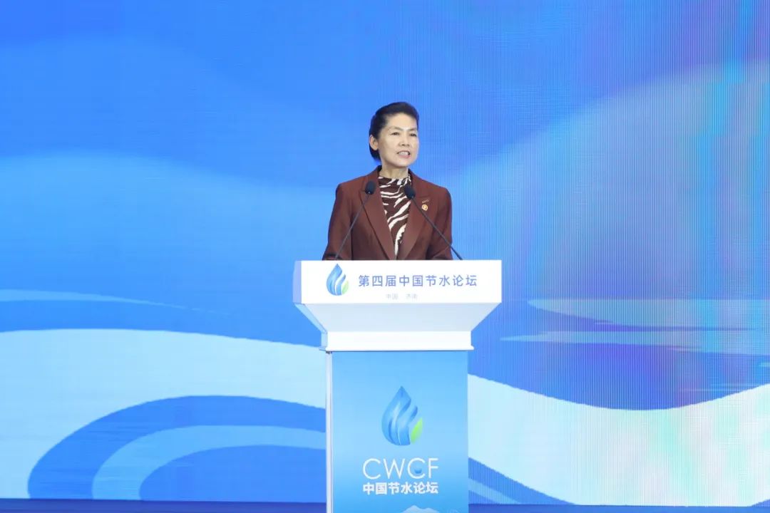 202412051733389485875321