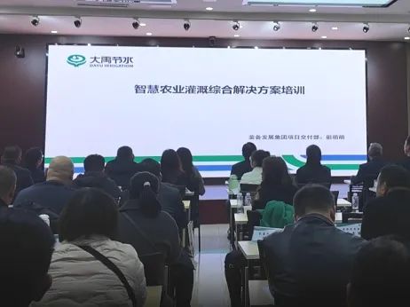 202412051733390803127738