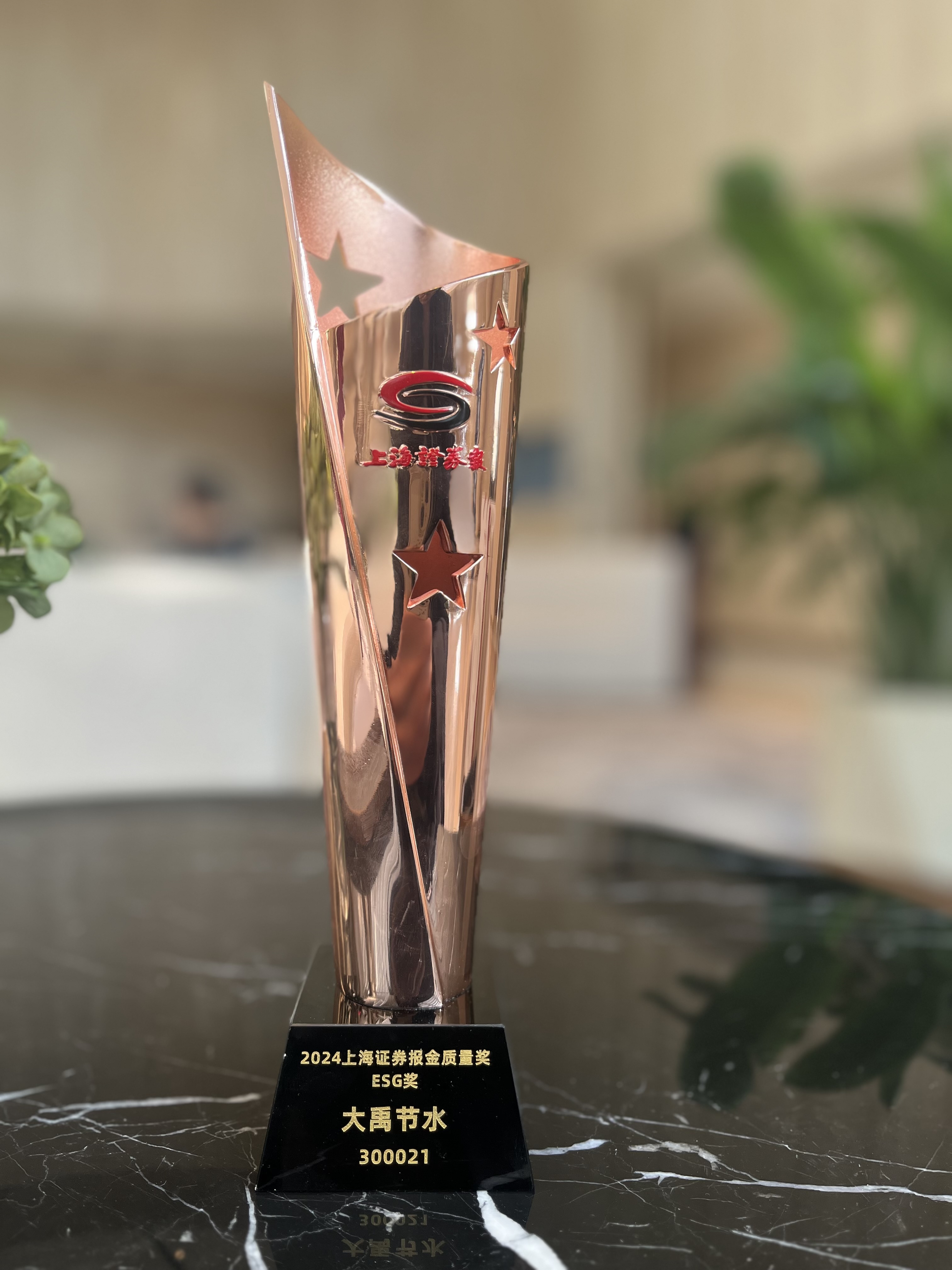 202503111741663776297095