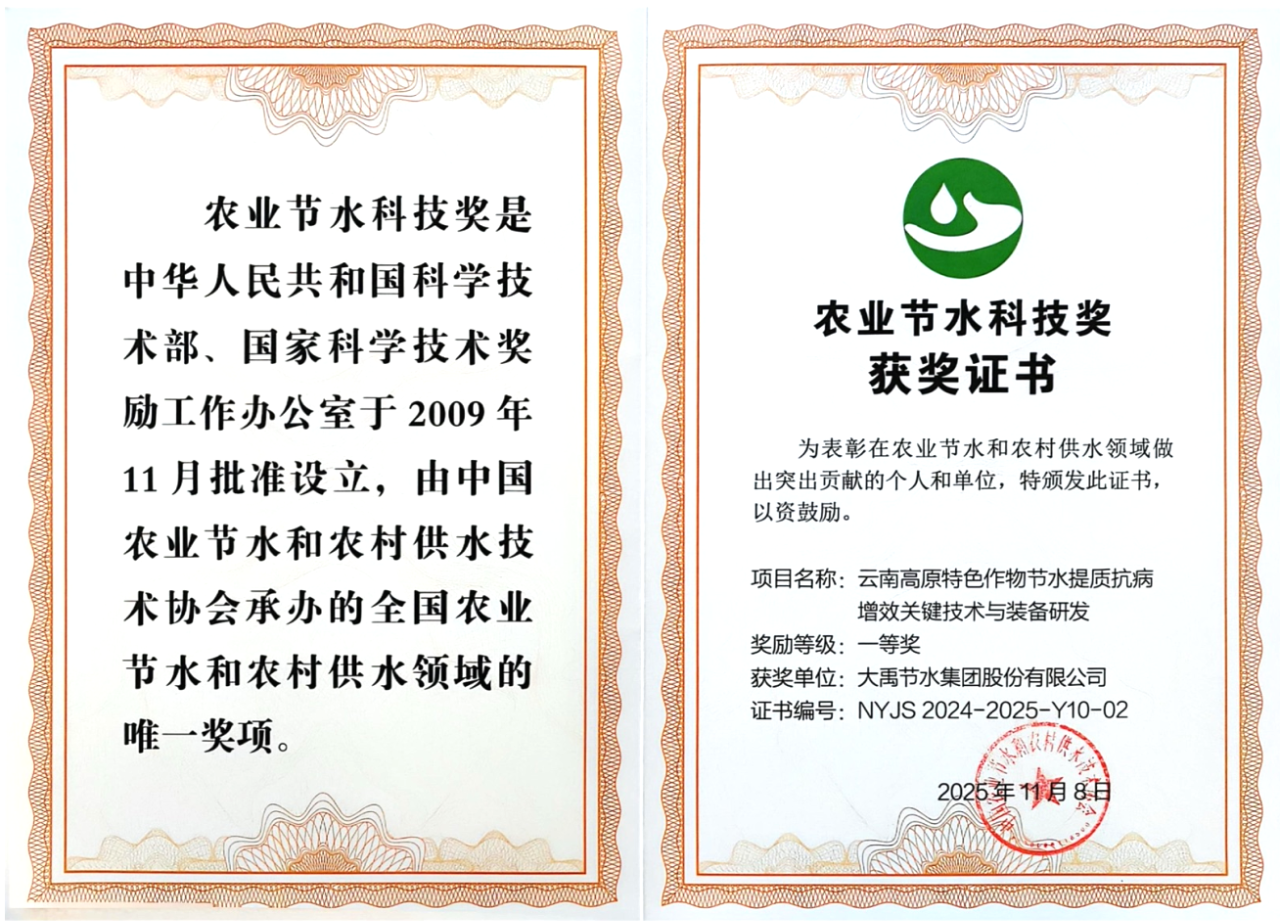 202512041764811966666881