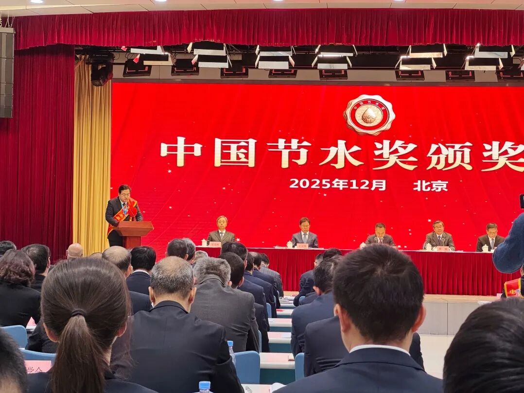 202602051770266086156248