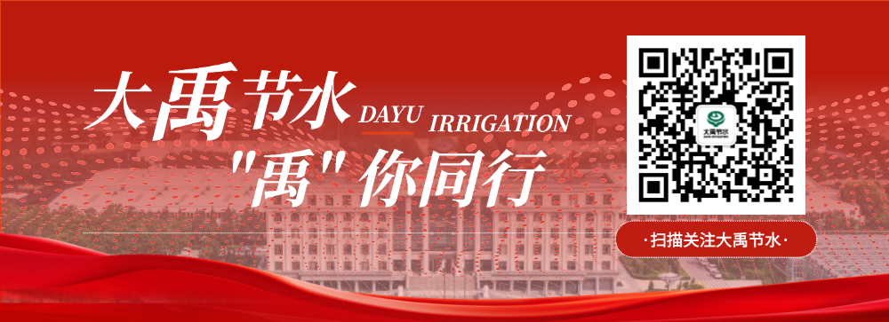 202602061770342158493895