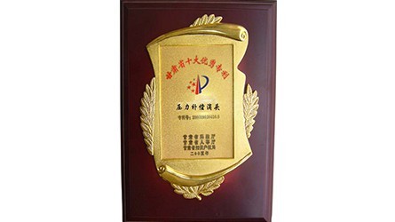 甘肃省十大优良专利—压力赔偿滴头