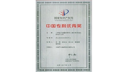 中国专利优良奖