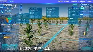 3月16日，央视新闻频路报路，今日，疏勒河灌区多个渠首陆续开闸，借助数字孪生等技术，134万亩农田得以畅饮“智慧”水，实现了水资源的高效利用和农田的精准灌溉。