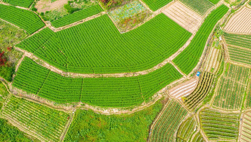 福建省浦城县官路乡2024年高尺度农田建设项目