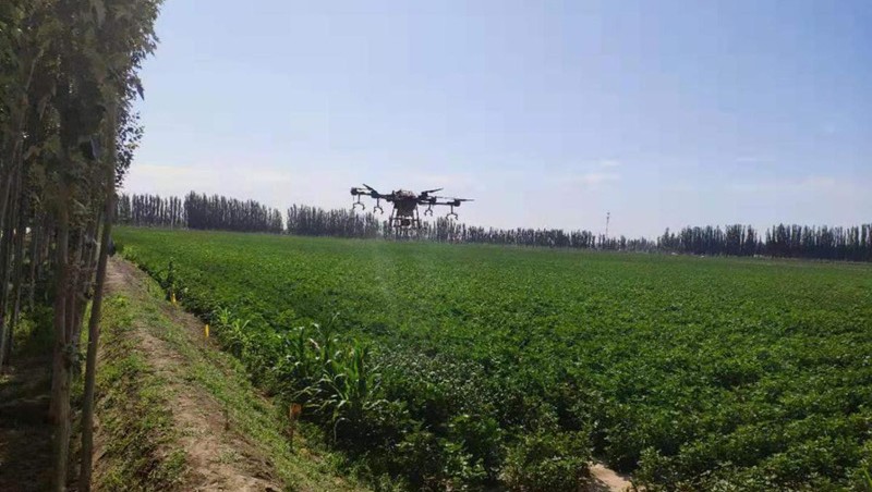 南疆地域沙雅县渭干河灌区农业高效节水增收试点项目