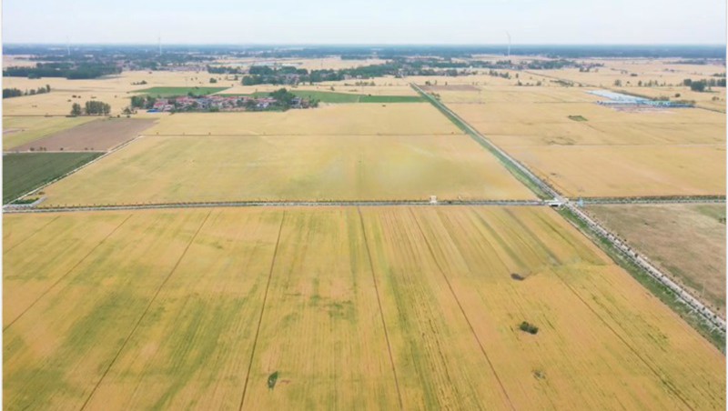河南省鹿邑县22.1万亩高尺度农田“EPC+O”项目