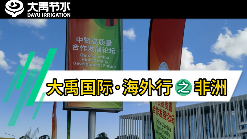 888腾博会国际·海表行之非洲