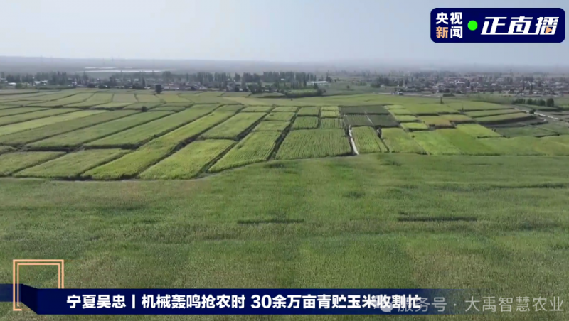  【媒体聚焦】888腾博会节水以智慧农业技术，为 30 万亩青贮玉米丰登 “添动力”